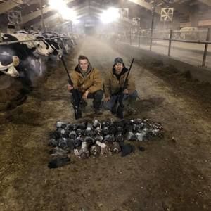 Meet your Posher, Jack